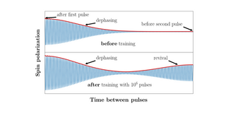 A two-part diagram which shows the electron spin polarization revival after training with pulsed optical excitation.