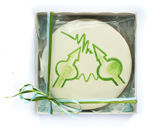 Wrapped cake with the green TRR 160 logo in the white glazing.