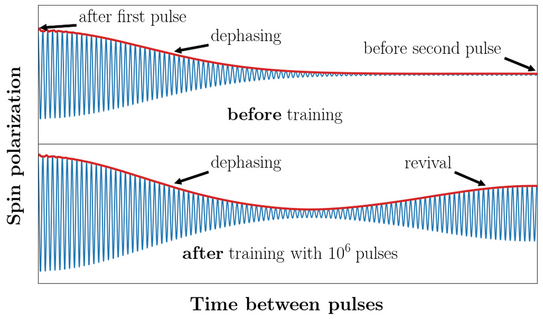A two-part diagram which shows the electron spin polarization revival after training with pulsed optical excitation.
